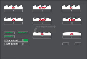 Станок для заточки дисковых пил HSS мод. PNK-AC CNC ABM (Турция)