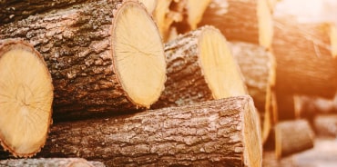 Проектирование деревообрабатывающих производств