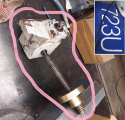  M206.3.3 (3241-030075)  Beaver