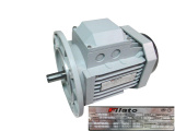  MS8024 B5 0.75KW 220/380V 1420RPM 50HZ  FL 4000 / FL 5000