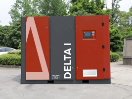 �������� ���������� TRIUMPH DELTA 150 I SE