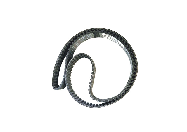    RPP8 -1224 -40 .(M)