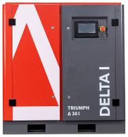 �������� ���������� TRIUMPH DELTA 350 I
