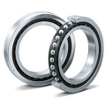  7006 A5TRDULP3 (NSK) ()