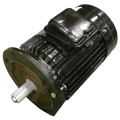  3,3/4 , 380,1450/2890 / YD112M-4/2  MX 506