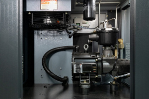 �������� ���������� TRIUMPH �������� ����������� TRIUMPH TH 100 VSD