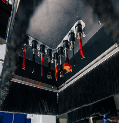         Beaver i-NEST BH PRO LAB