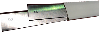      DS