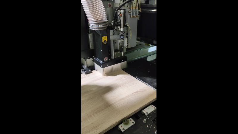 ������ ����� ������ #8